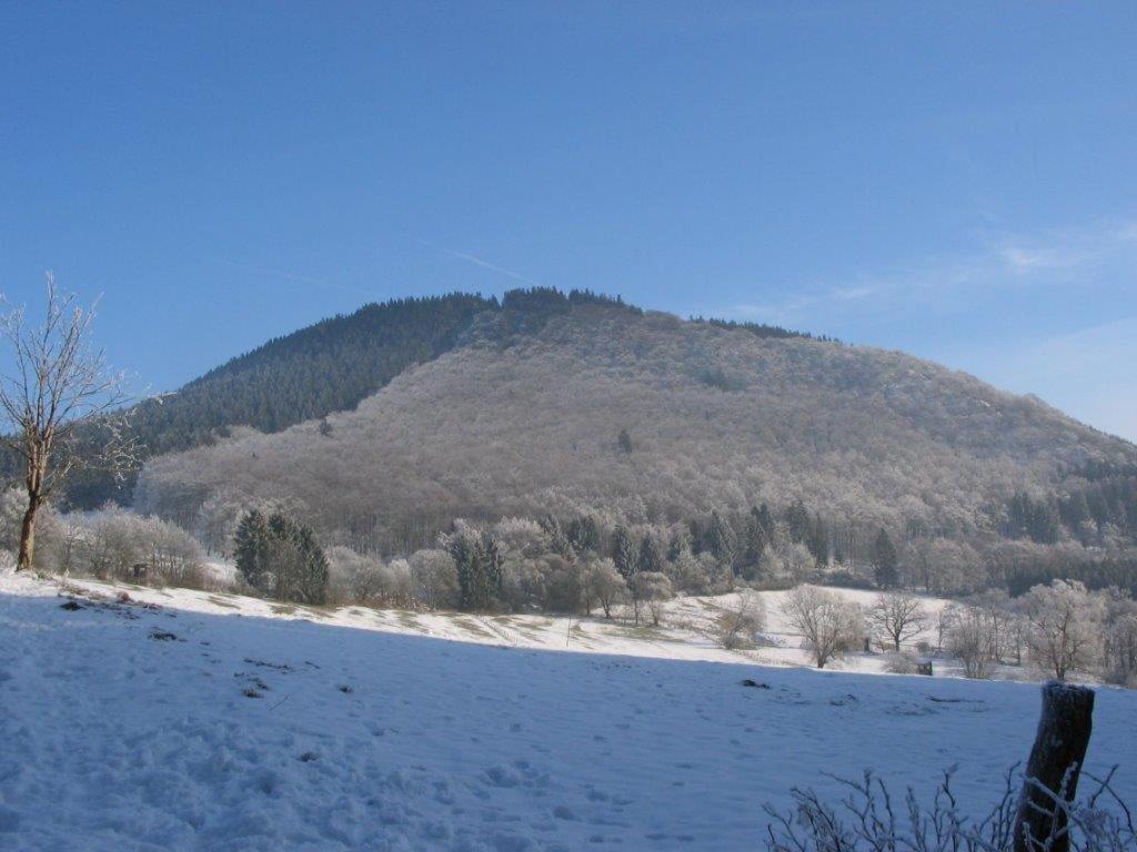 Landhotel Grimmeblick Winterberg Exterior photo